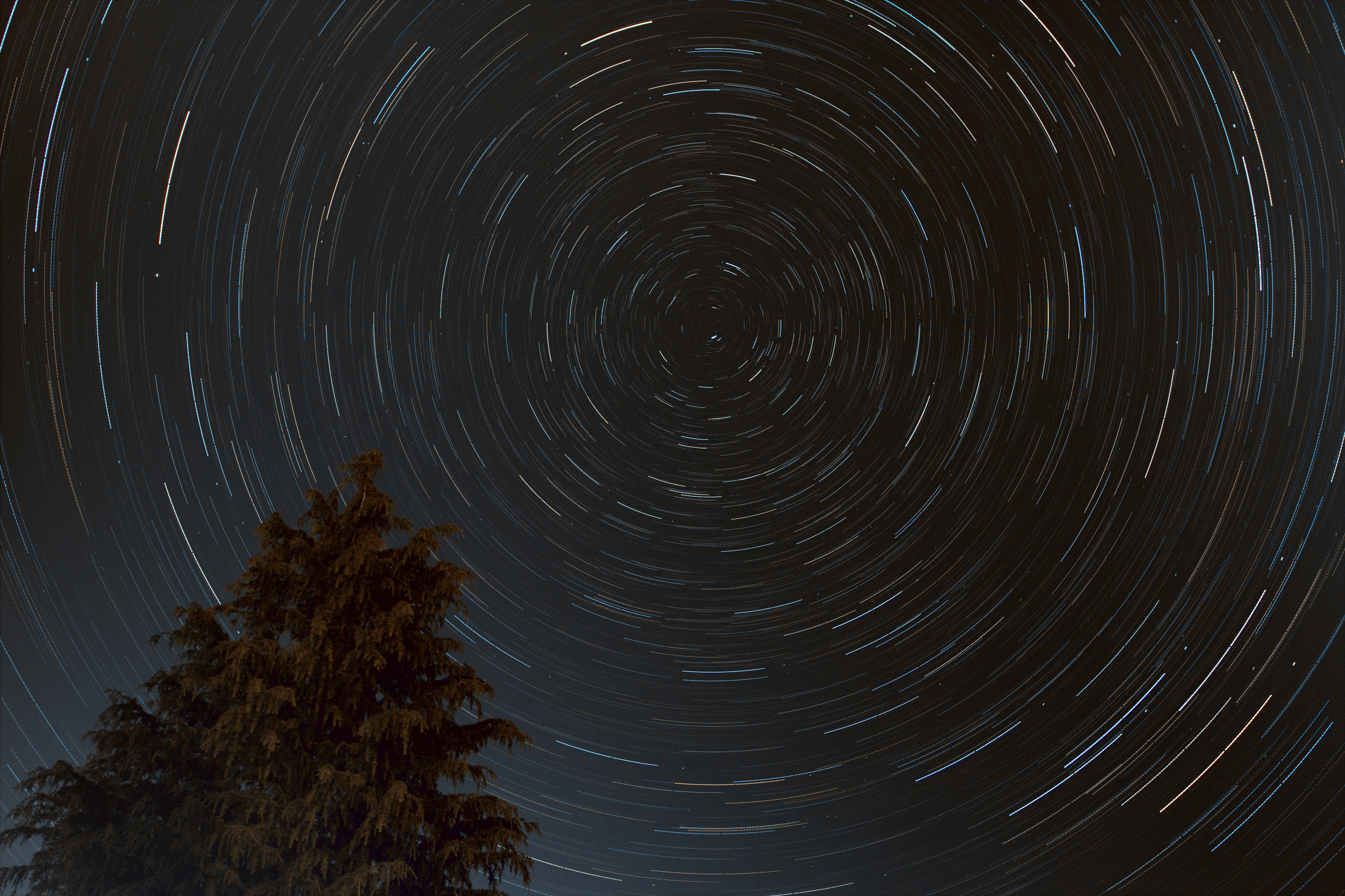 File:star-trails.jpg - Freeastro